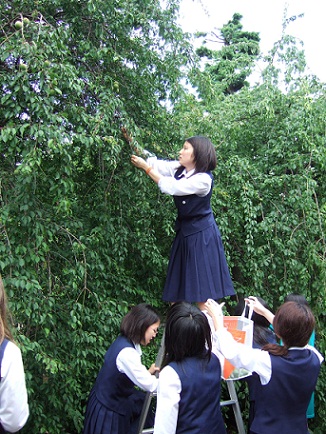 千葉県高等学校教育研究会 家庭部会 図書館部会 専門学科の紹介