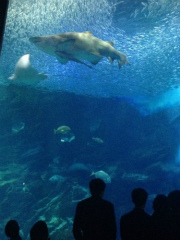 海ノ中道水族館